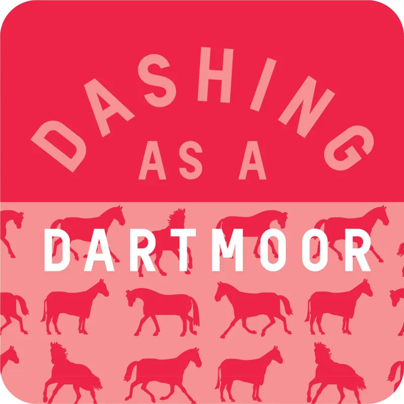 Gubblecote Dashing as a Dartmoor Coaster